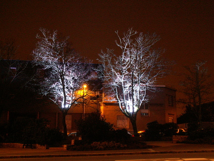 20061226 213132